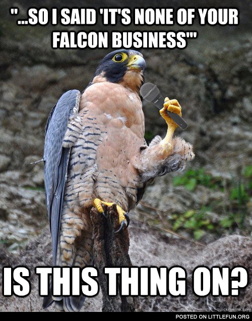 It's none of your falcon business