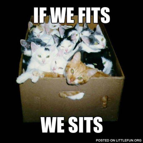 If we fits we sits