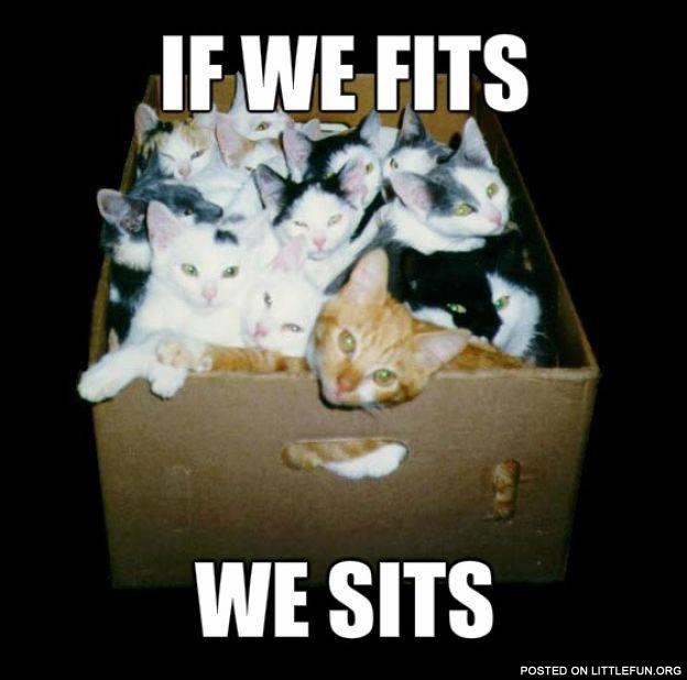 If we fits we sits