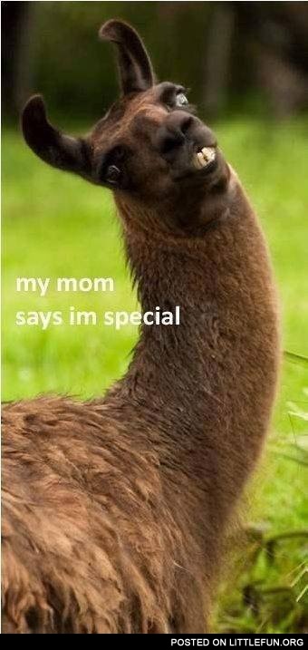 Mom says I'm special