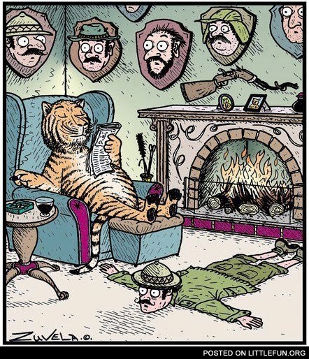 Meanwhile, in a parallel universe