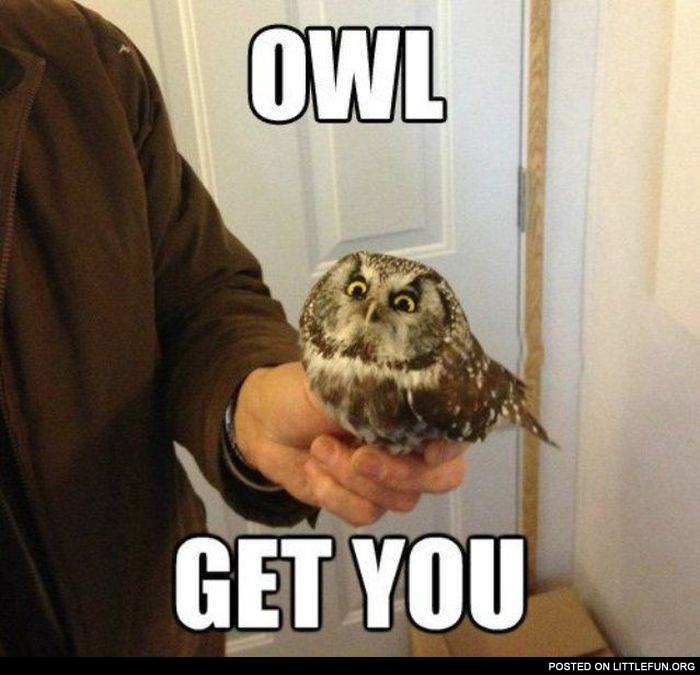Owl get you