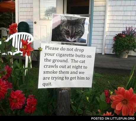 Don't drop your cigarette butts