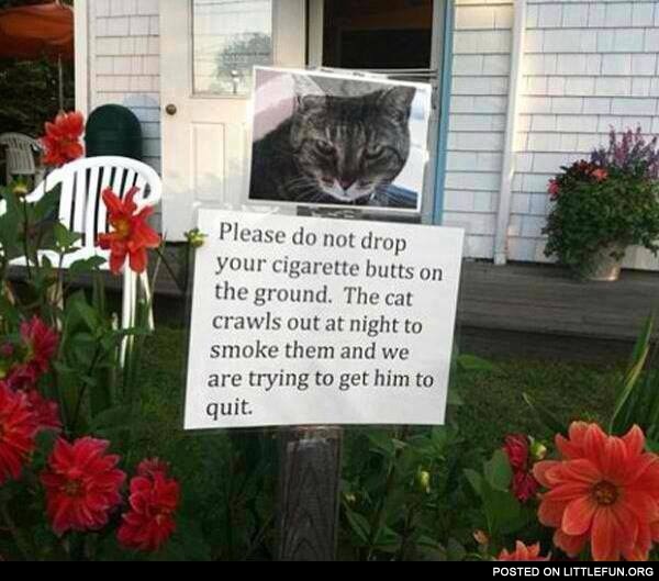 Don't drop your cigarette butts