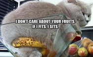 I don't care about your fruits