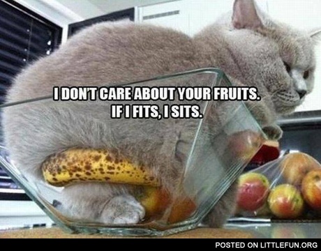 I don't care about your fruits