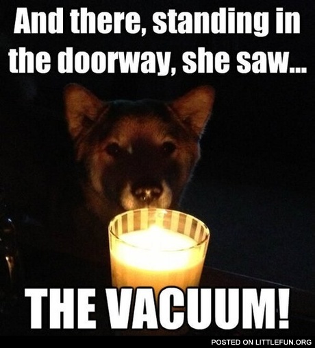 The vacuum