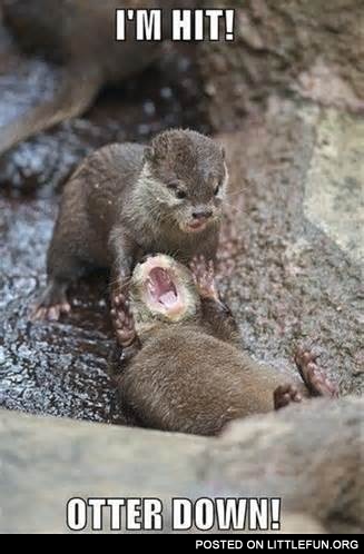 I'm hit, otter down