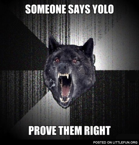 Someone says yolo 