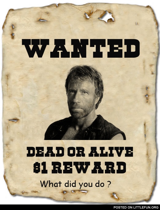 Chuck Norris is wanted.. what did you do ?