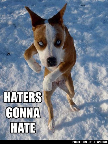 Haters gonna hate