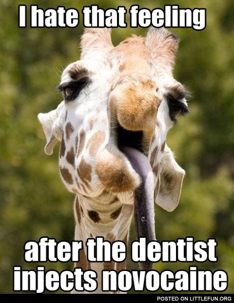 I hate that feeling after the dentist injects novacaine