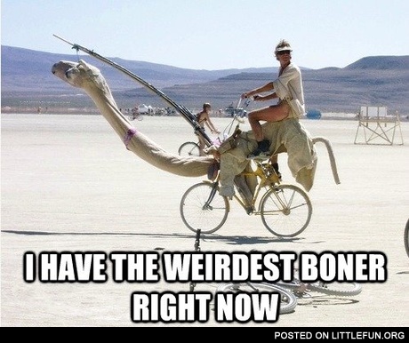 I have the weirdest boner right now