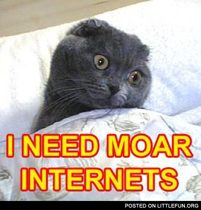 I need moar internets