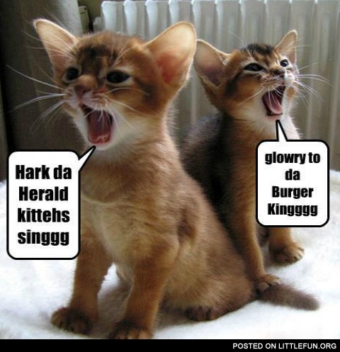 Singing kittens