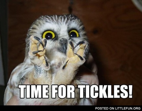 Time for tickles