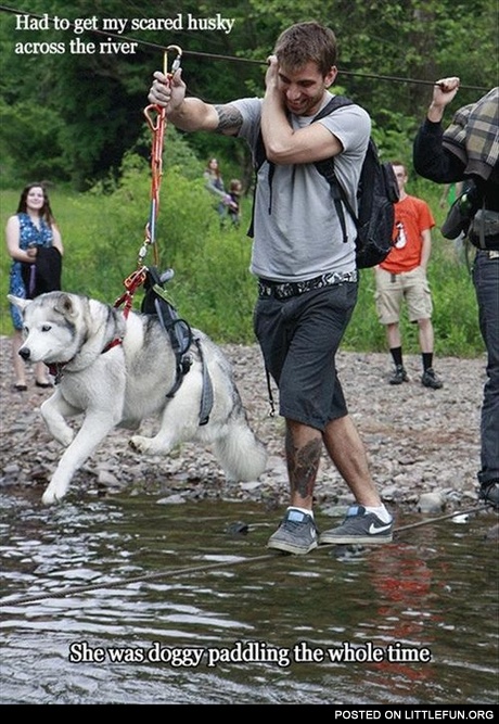 Had to get my husky across the river