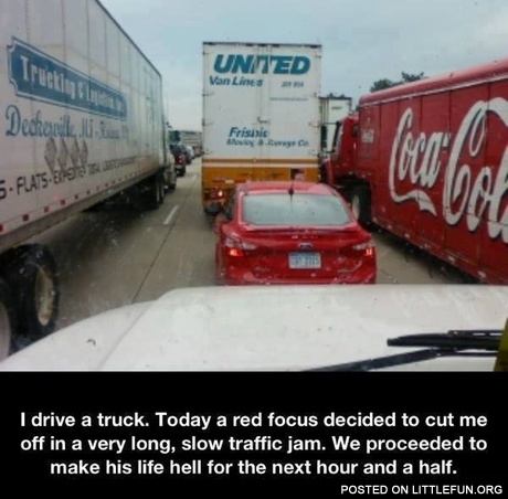 A red Focus decided to cut me off