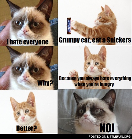 Grumpy cat, eat a Snickers. The cat version.