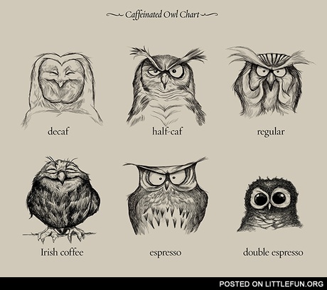 Caffeinated owl chart