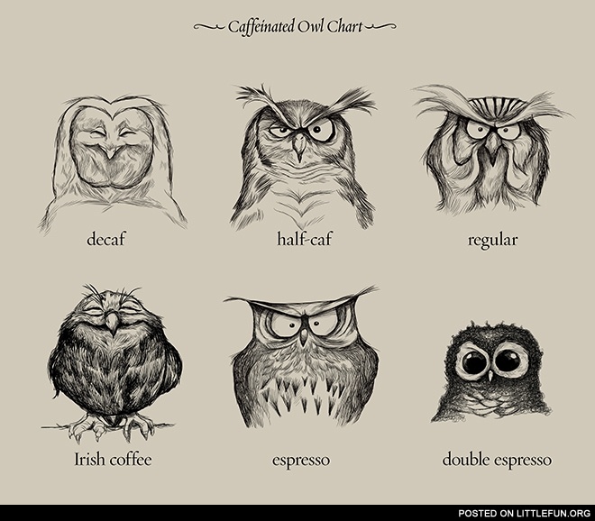 Caffeinated owl chart