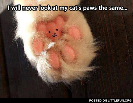 My cat's paw
