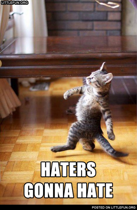 Haters gonna hate
