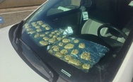 Baking in the car