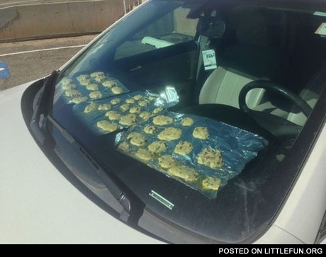 Baking in the car
