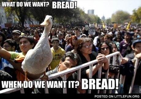 What do we want? Bread!