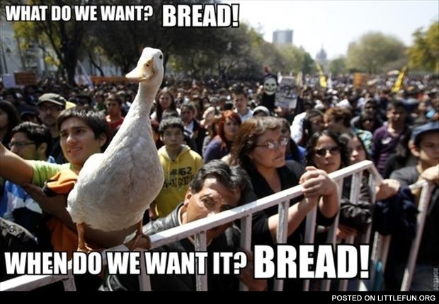 What do we want? Bread!