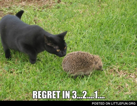 Regret in 3..2..1..