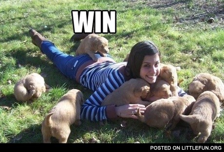 Puppy Doggy Style Win