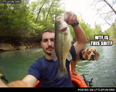 WTF is this sh*t?