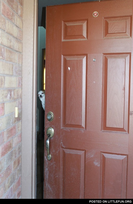 Yea, can I help you?