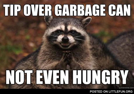 Tip over garbage can, not even hungry