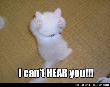 I can't hear you