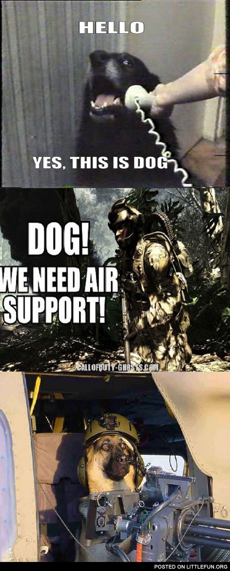 Dog, we need air support