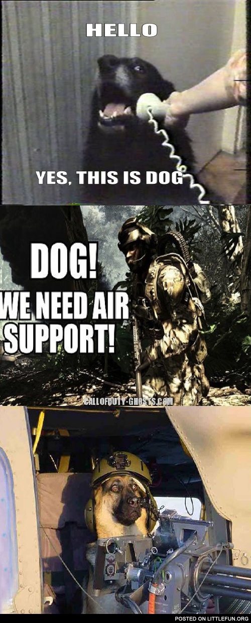 Dog, we need air support