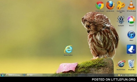What the hell is that?