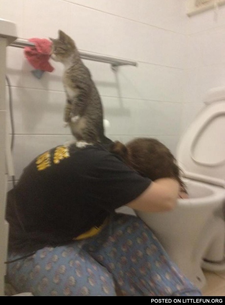 What the hell is going on here?