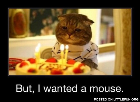 But, I wanted a mouse