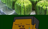 Square watermelons