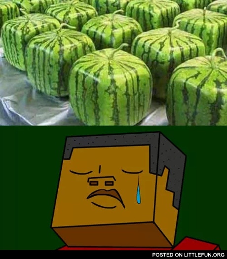 Square watermelons