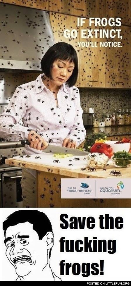 Save the freaking frogs