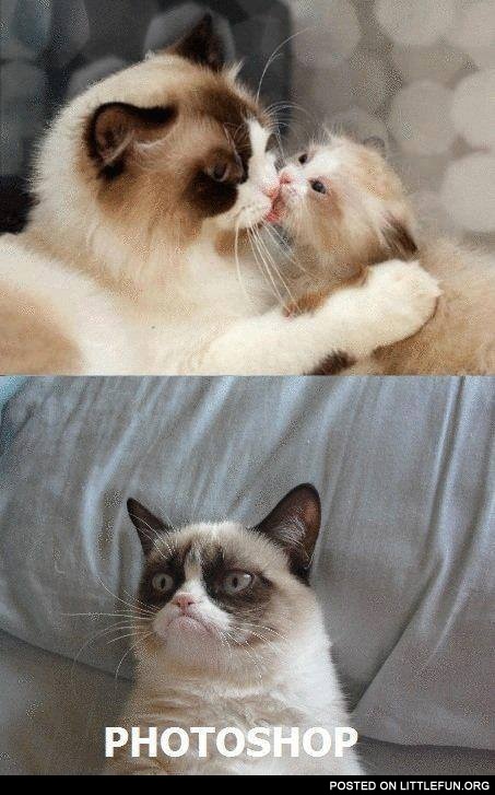 Photoshop