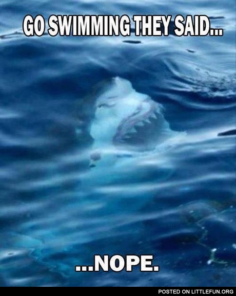 Go swimming they said