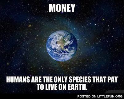 Money, humans are the only species that pay to live on Earth