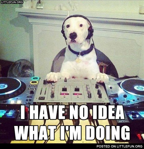I have no idea what i'm doing