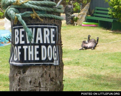 Beware of the dog